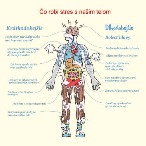 stresovy-profil-psychologia-presov
